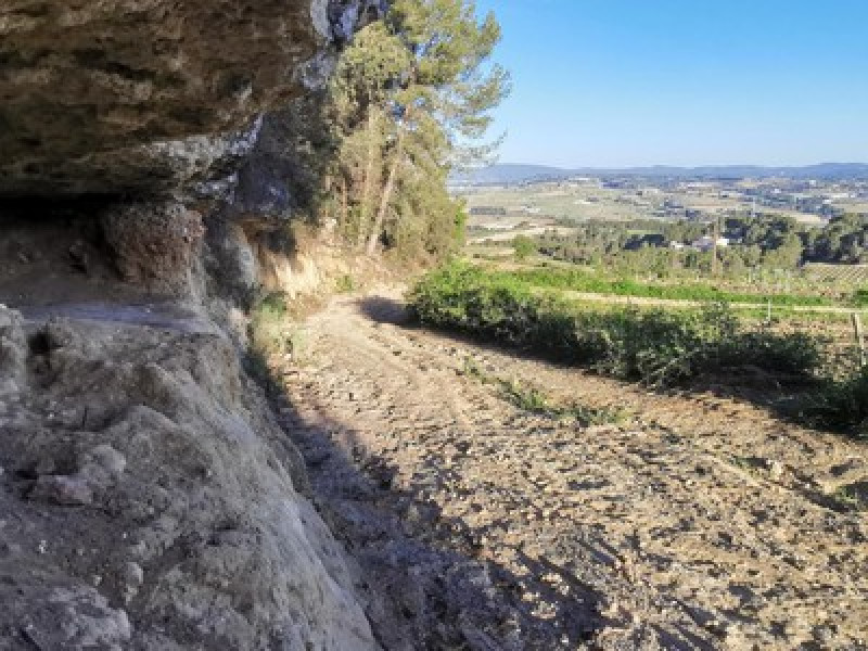 Sant Sadurní d'Anoia — Els Casots