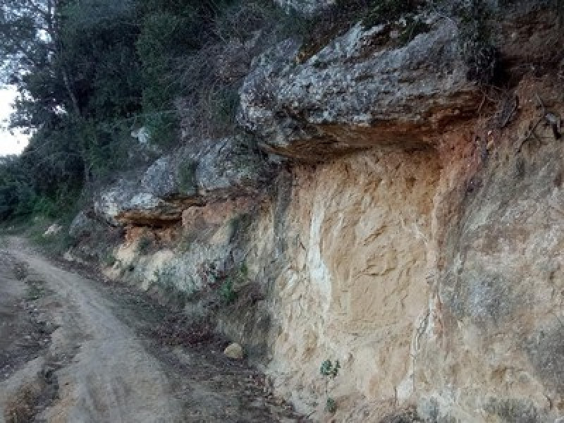 Sant Sadurní d'Anoia — Els Casots