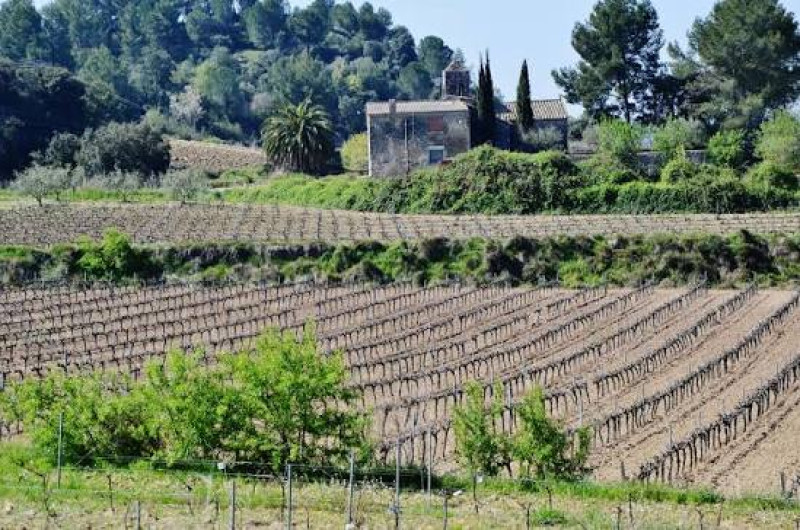 Img Sant Sadurní d'Anoia — Espiells