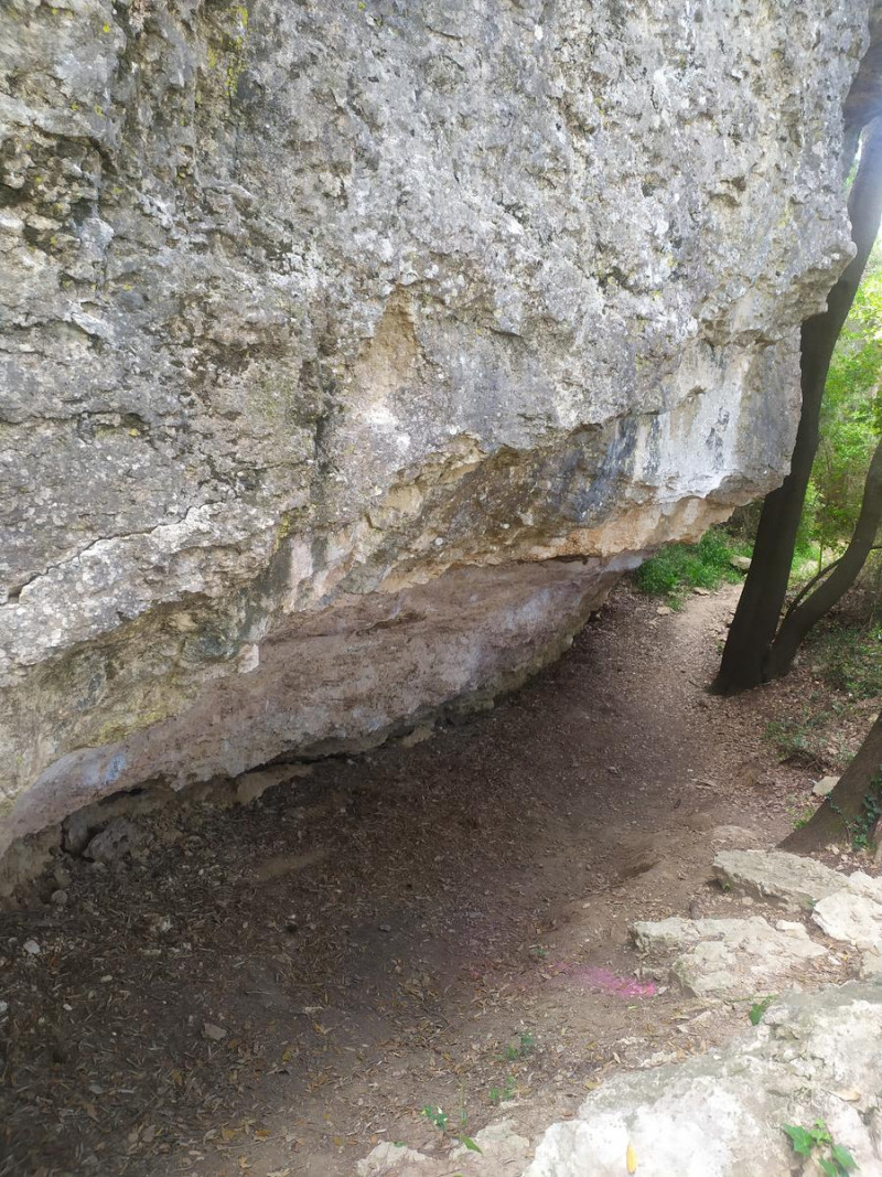 Sant Sadurní d'Anoia, Flanders