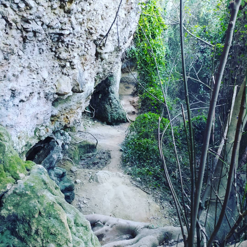 Sant Sadurní d'Anoia, Flanders