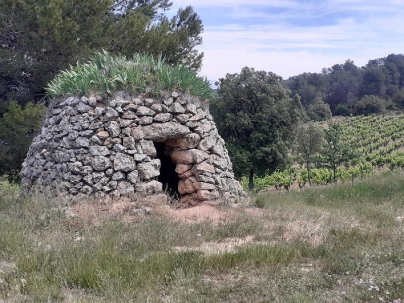 Img Città di Sant Sadurní e sito paleontologico dei Casots
