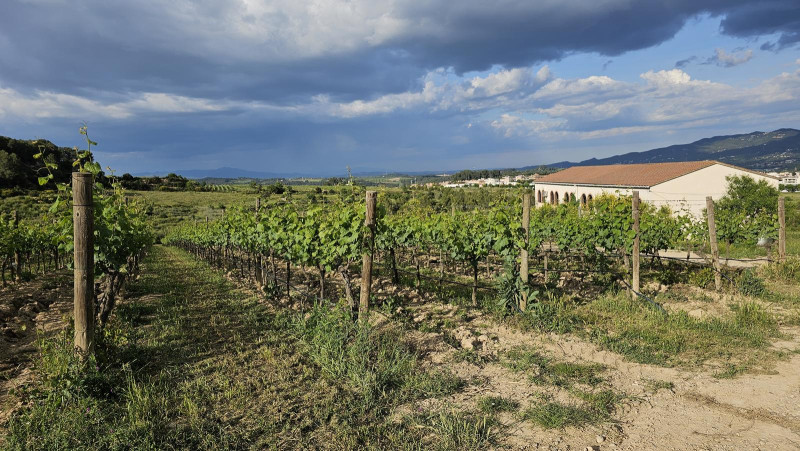 Sant Sadurní – Can Rossell – Sta. Maria de Lavern – Can Batista