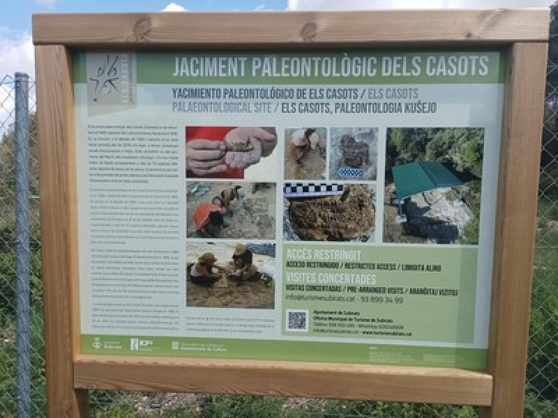サンサドゥルニ — カソッツ遺跡 — スビラッツ城