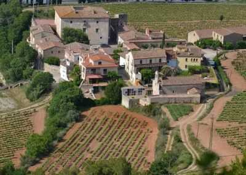 Sant Sadurní – Castell de Subirats – Torre Ramona – Camí del Riu – Bassa de Can Raventós