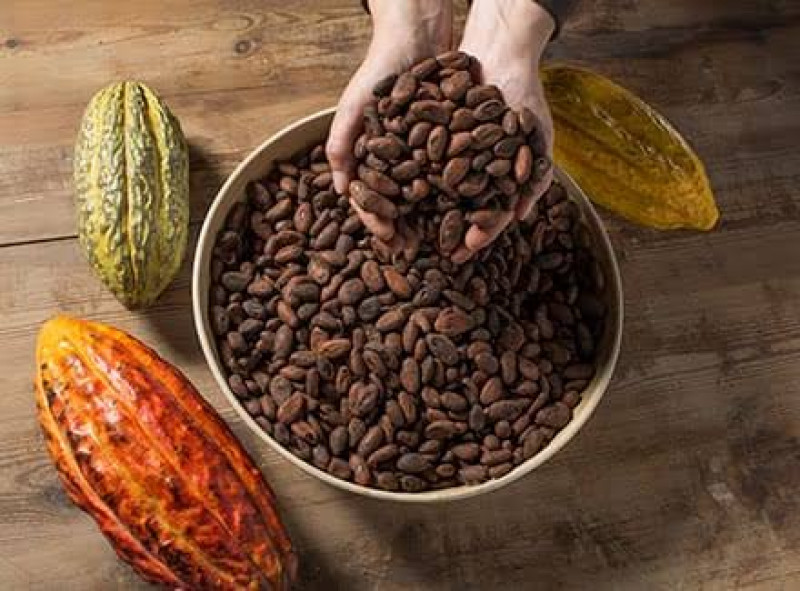Espai Xocolata Simón Coll