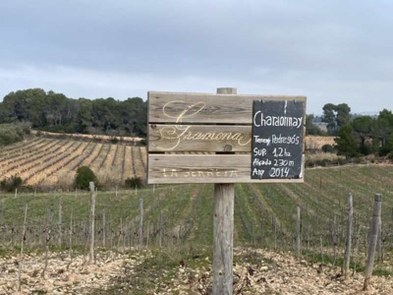 Rutes Wikiloc – Penedès Turisme