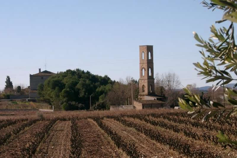 Rota do Vinho de Vilafranca del Penedès