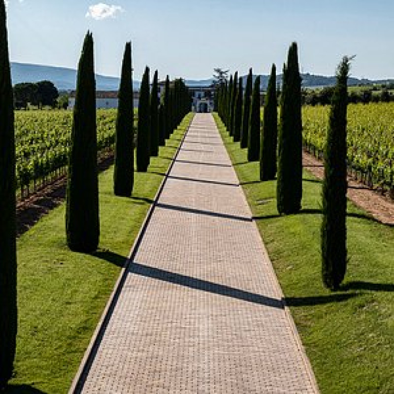 Bodegas Montesquieu (Montesquius)