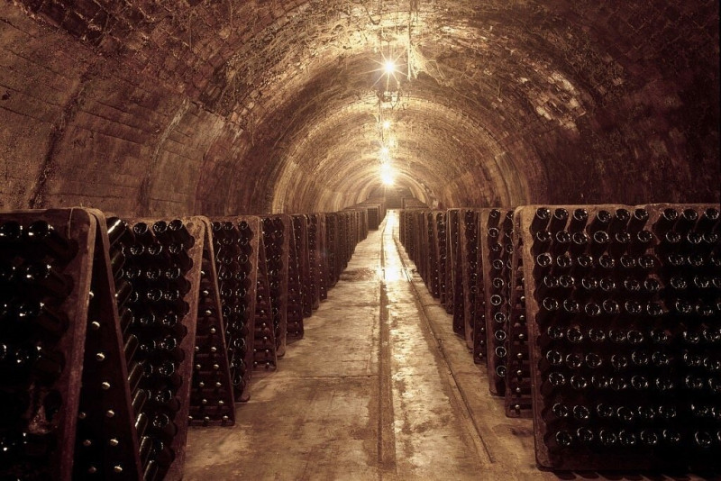 Bodegas Montesquieu (Montesquius)